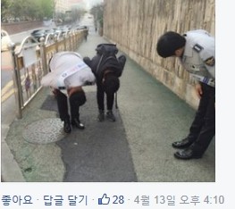 출처 : 페이스북 부산경찰, 광주경찰