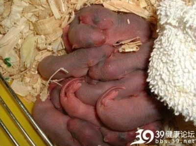 daum_net_20120427_214929