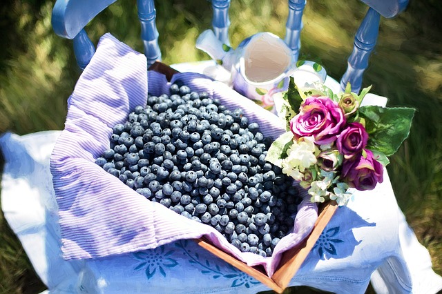 blueberries-870515_640