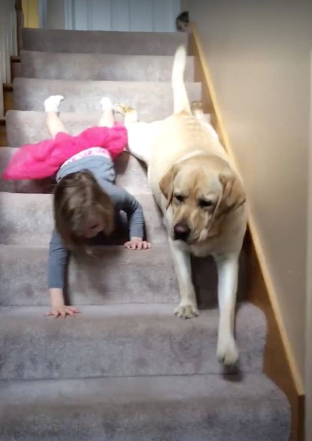 Girl-and-dog-crawl-down-stairs-together (3)