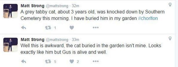 Councillor-Matt-Strong-buries-the-wrong-cat (1)