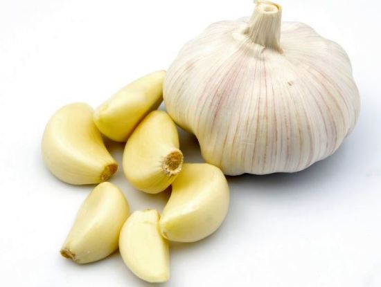 garlic thatsnotfood com