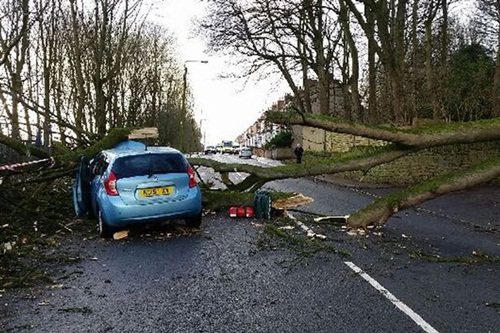 Chilton-Lane-Ferryhill-Station-closed-until-lunchtime-due-to-fallen-tree-Car-damaged