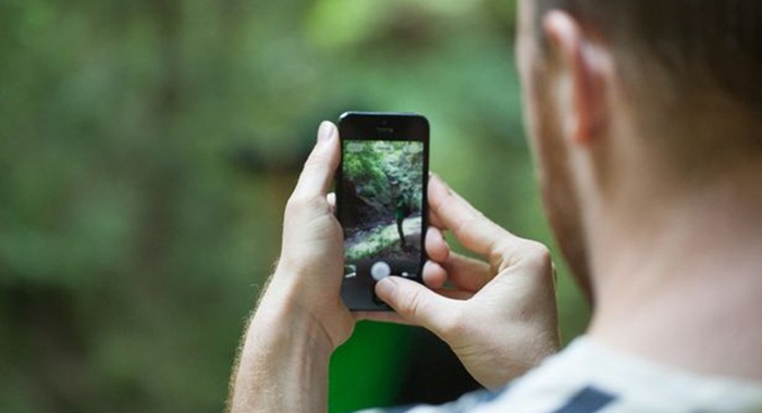 Taking-a-photo-with-a-smartphone-in-a-forest