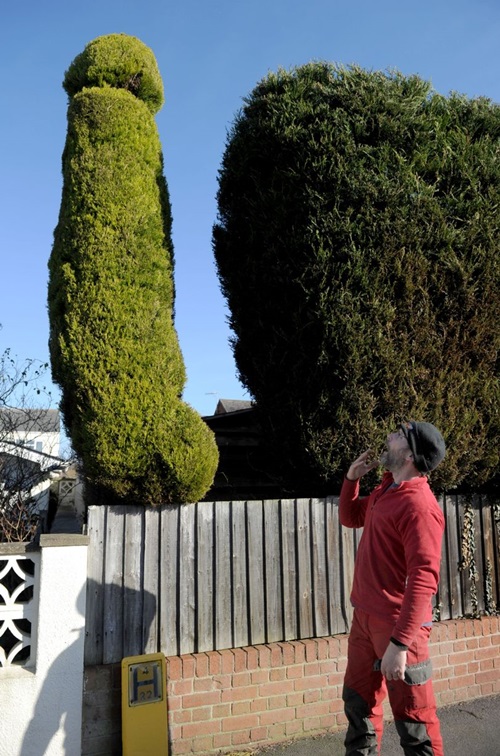 PAY-Chris-Bishop-posing-with-his-penis-shaped-tree (4)