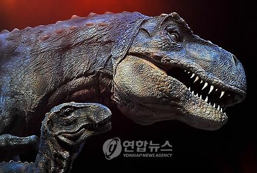 렉스 이미지