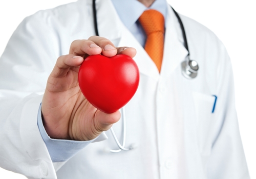 Doctor holding red rubber heart in his hand