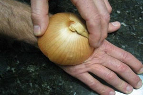 onion11