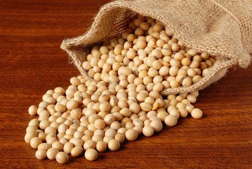 o-SOYBEANS-facebook