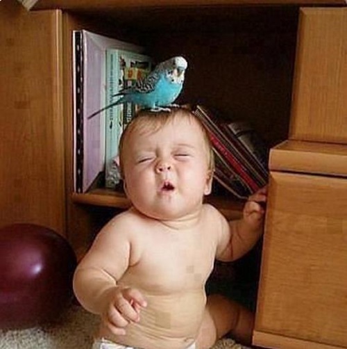 kid7