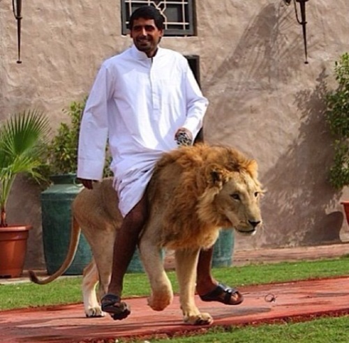 dubai5
