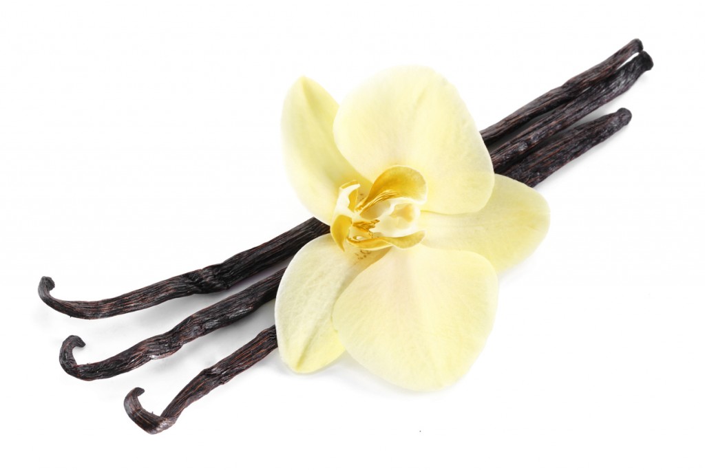 Photo of vanilla sticks with a flower.