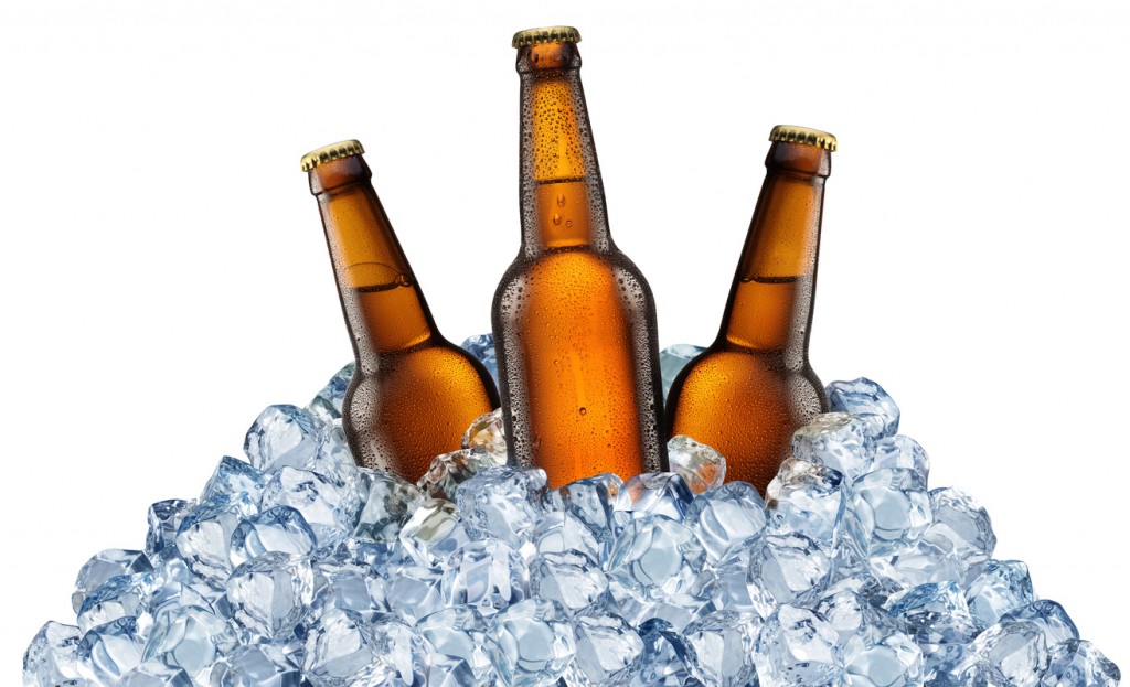Three beer bottles getting cool in ice cubes.