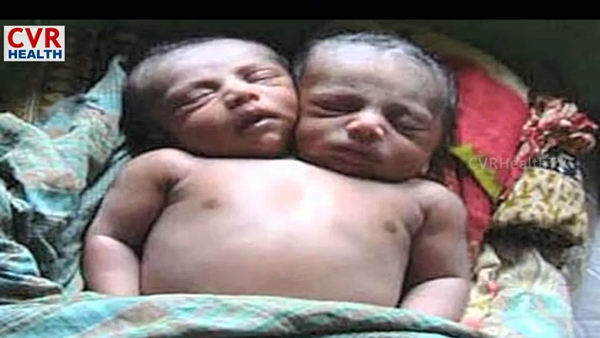 kqa5e81qszvb6gi6j0w4