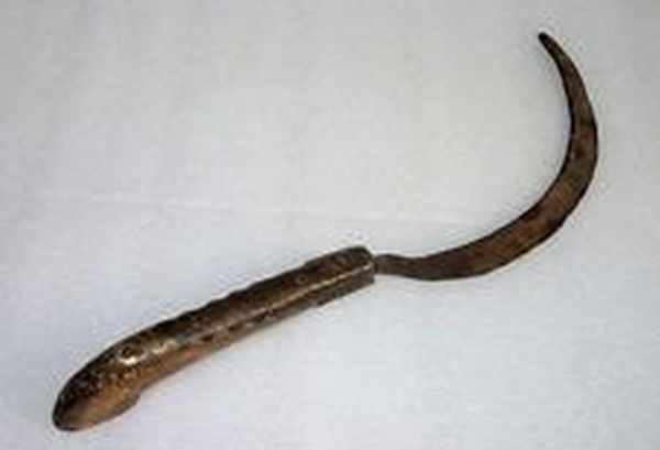 AFP_MDG_270117035JPG