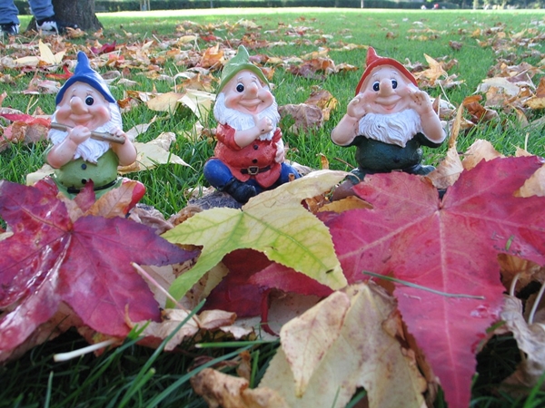 leaves-527688_960_720