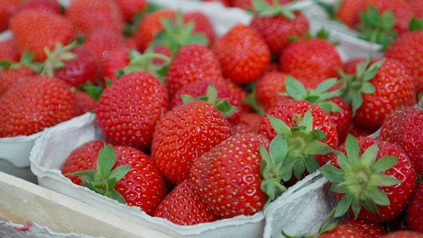 strawberries-823782_960_720