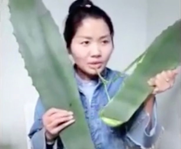 PAY-Panicked-woman-abandons-live-stream-after-realising-aloe-vera-leaf-is-actually-a-rare-poisonous-pl (1)