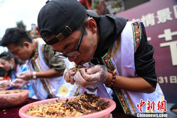 lijiang_bug_eating_contest3
