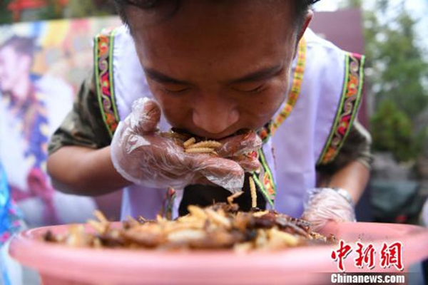 lijiang_bug_eating_contest4