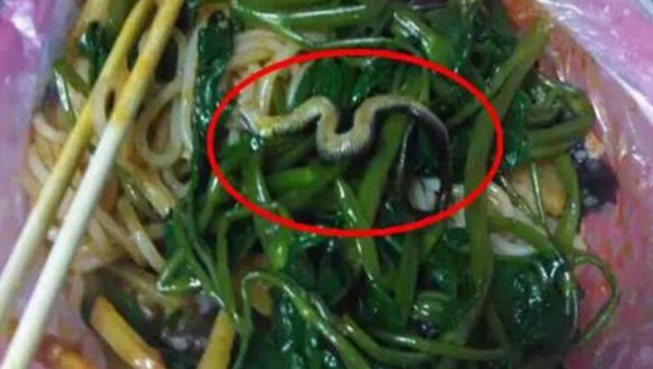 snake_noodles