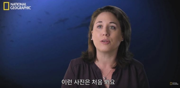 바다사자의 사냥기술은 어떤 모습일까? 최근 한 온라인 커뮤니티에는 “바다사자가 갖고 있는 사냥 기술”이라는 제목의 글이 올라와 누리꾼들에게 큰 화제가 되고 있다. 방송국 카메라에는 캘리포니�