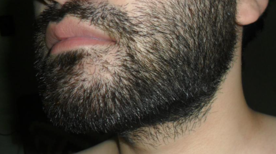 한 남성이 무려 190일 동안 수염을 기른 인증 사진을 올려 엄청난 파장을 낳고 있다. 일각에서는 “조상 중에 서양인이 있는 것이 아니냐”며 남성의 수염 상태를 보고 놀라움을 금치 못했다. 온라인이슈�