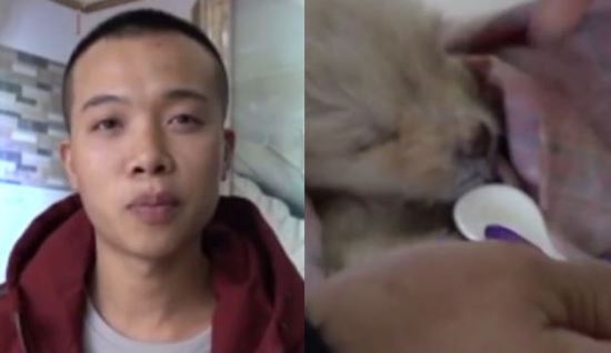 우정과 의리가 빛나지만 한편으로는 가슴이 아픈 한 강아지의 사연이 다시금 화제를 모으고 있다. 지난 2019년 홍콩 매체 동망에 따르면 홍콩 시민 시옹이란 남성은 길거리를 지나가던 중 가슴 아픈 한 장면을 목도했다.
