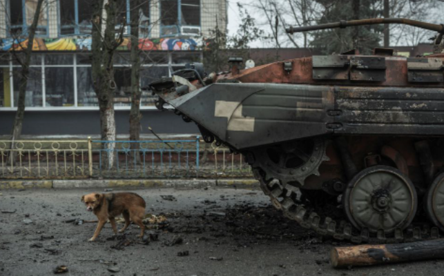 러시아 우크라이나 전쟁에서 러시아군의 피해가 상상 이상으로 큰 것으로 확인됐다. 1개월 넘게 지속되고 있는 러시아 우크라이나 전쟁은 군사력 차이로 인해 러시아의 승리로 끝날 것이라고 예상됐지만 실�