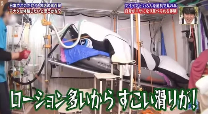 실제 고래의 밥이 되어 보는 체험을 할 수 있다는 사실이 전해져 화제가 되고 있다. 지난 10일 일본 TV아사히 예능 프로그램 ‘나니고레 진백경’은 일본 가나가와현 사가미하라시에 있는 ‘보레 카페&