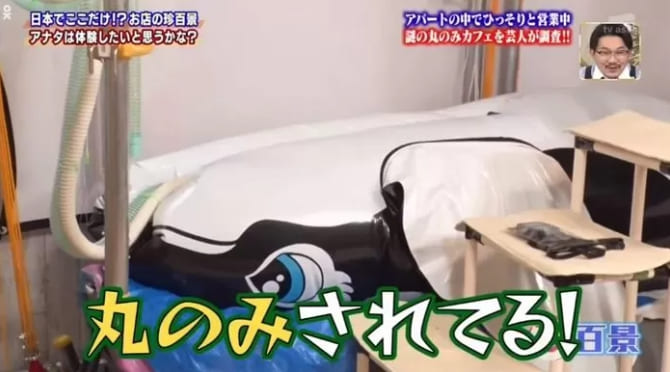 실제 고래의 밥이 되어 보는 체험을 할 수 있다는 사실이 전해져 화제가 되고 있다. 지난 10일 일본 TV아사히 예능 프로그램 ‘나니고레 진백경’은 일본 가나가와현 사가미하라시에 있는 ‘보레 카페&