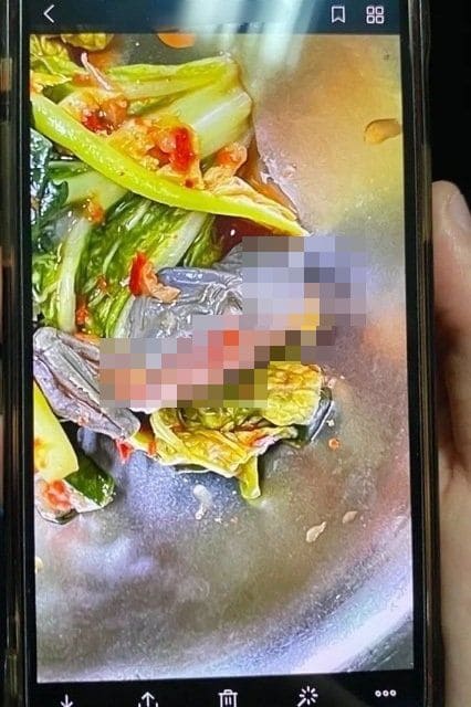 서울 중구의 한 고등학교에서 개구리 사체가 나오는 일이 발생했다. 서울시교육청 등에 다르면 지난 15일 서울 중구에 위치한 한 고등학교 급식에서 죽은 개구리가 발견됐다. 이날 해당 학교 학생은 점심 메뉴로 �