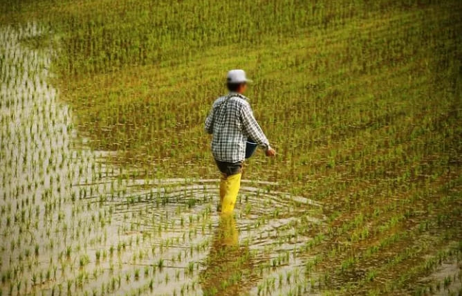싸이'흠뻑쇼' 물 낭비 논란에 실제 농민들이 보였다는 반응