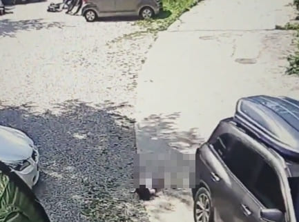 경기 용인시 양지면 인근 캠핑장에서 4살 여아가 중국인 교포가 운전한 SUV차량 뒷바퀴에 깔려 골반뼈가 부러지는 사고가 발생했다. 국민 청원 글에 따르면 지난 3일 오전 10시 18분쯤 경기 용인시 양지 인근에 위치한 한 캠�