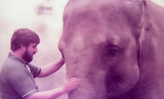 최근 동물학계 뒤집힌 코끼리와 인간 사이의 이상한 관계 내용