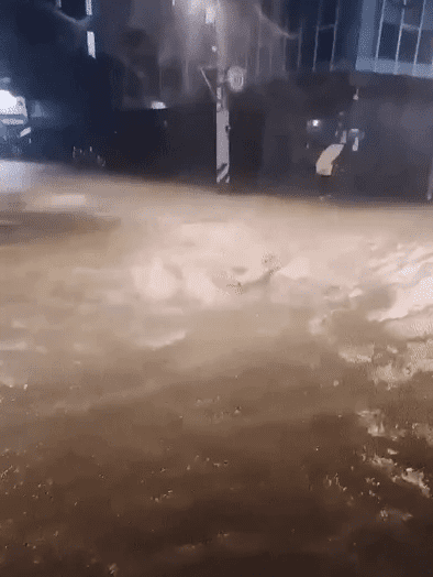 사상 최악의 폭우에 역대급 욕먹고 있는'신림동 펠프스' (+현장 상황)