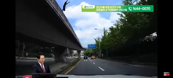 유튜브 채널 한문철TV 제보 고가도로 고양이 낙하