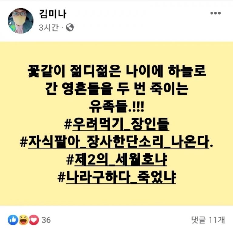 온갖 막말이 올라간 김미나 의원 페이스북