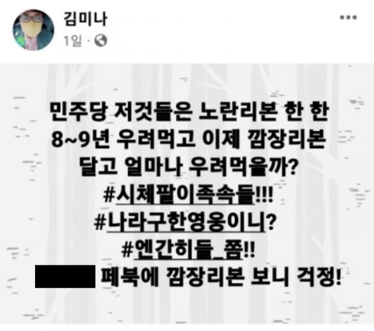 이태원참사 유족 향해'시체팔이' 등 막말 일삼은 김미나 의원 페이스북