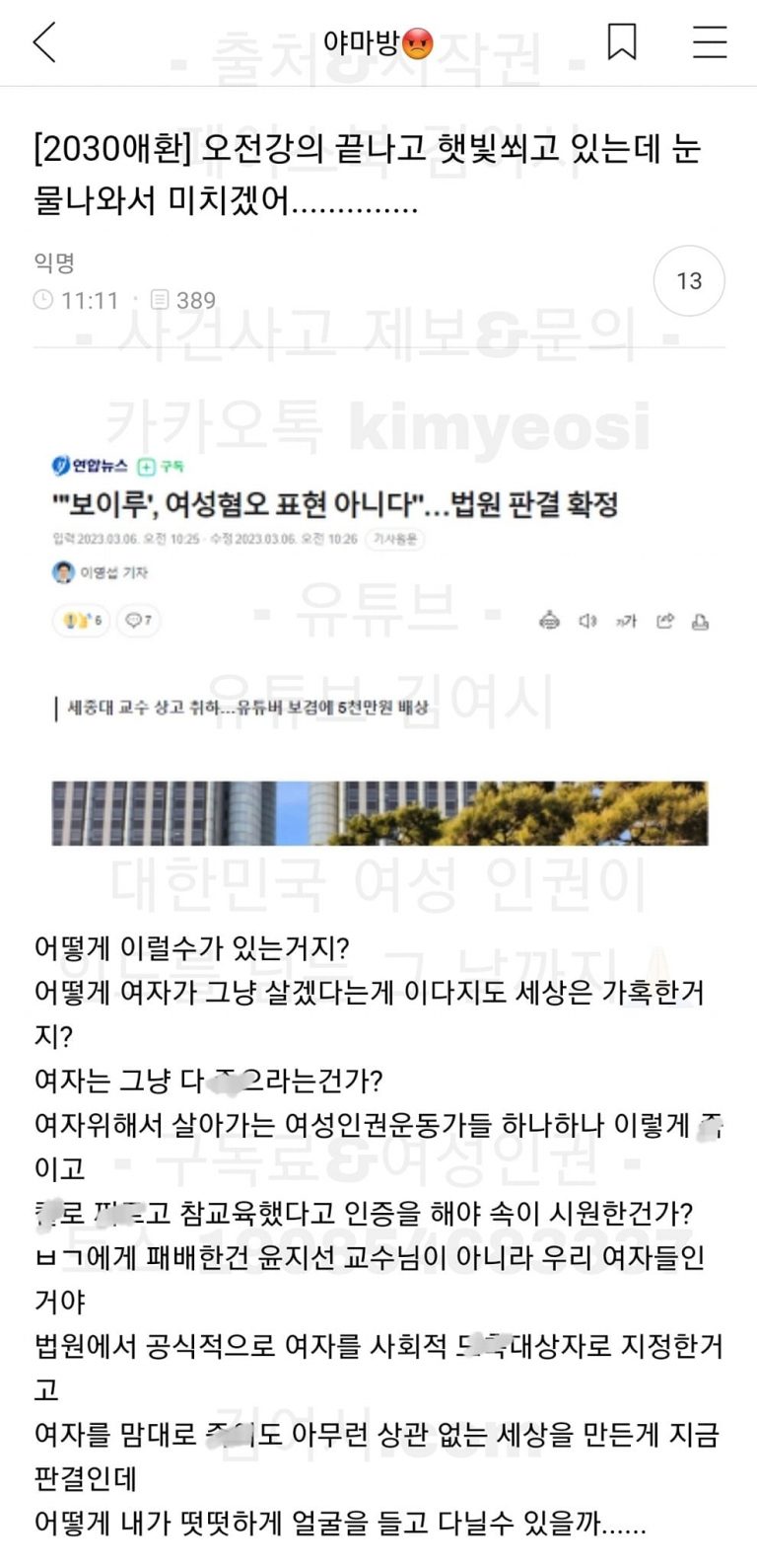 보겸'보이루' 법원 판결 윤지선 패배 여성시대 회원들 출산률 언급한 댓글 수준 (캡처)