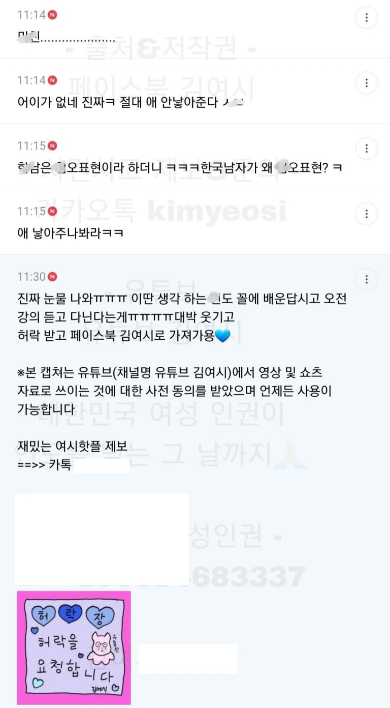 보겸'보이루' 법원 판결 윤지선 패배 여성시대 회원들 출산률 언급한 댓글 수준 (캡처)