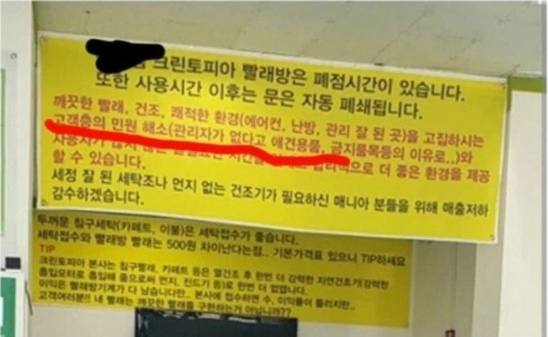 크린토피아 고양이 빨래 논란, 점주 울분에 마침내 입장 밝힌 본사