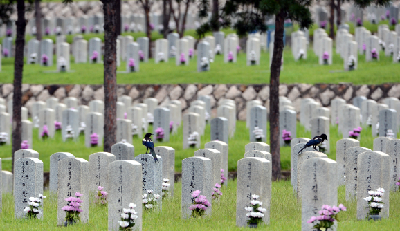 정부 강력 범죄 전과자 약 4600명 국립묘지 안장 결정