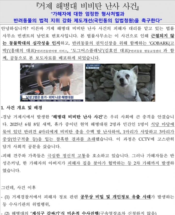 거제도 해병대 비비탄 난사 피해 견주의 호소