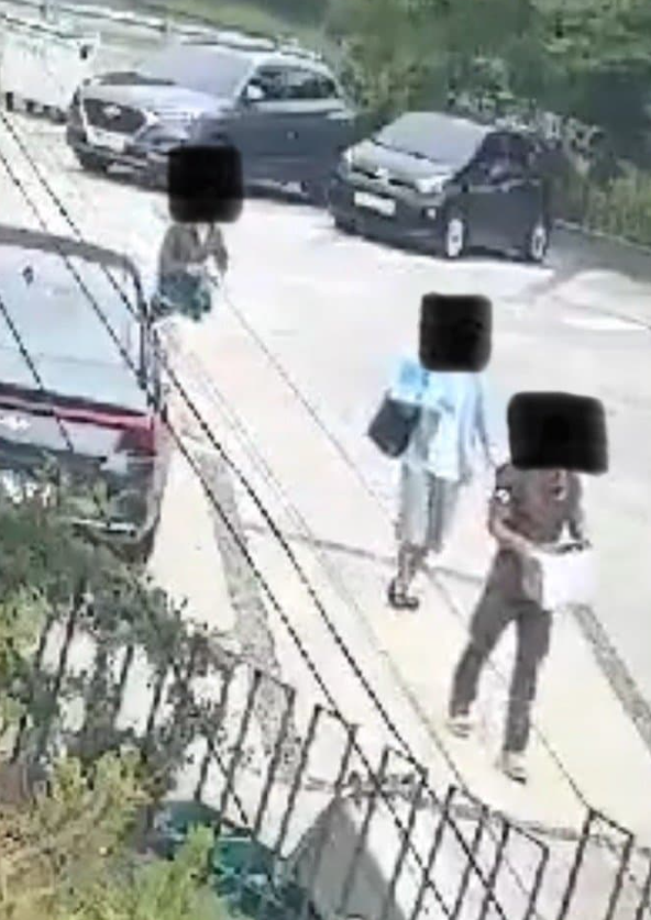 거제도 해병대 비비탄 난사 피해 견주의 호소