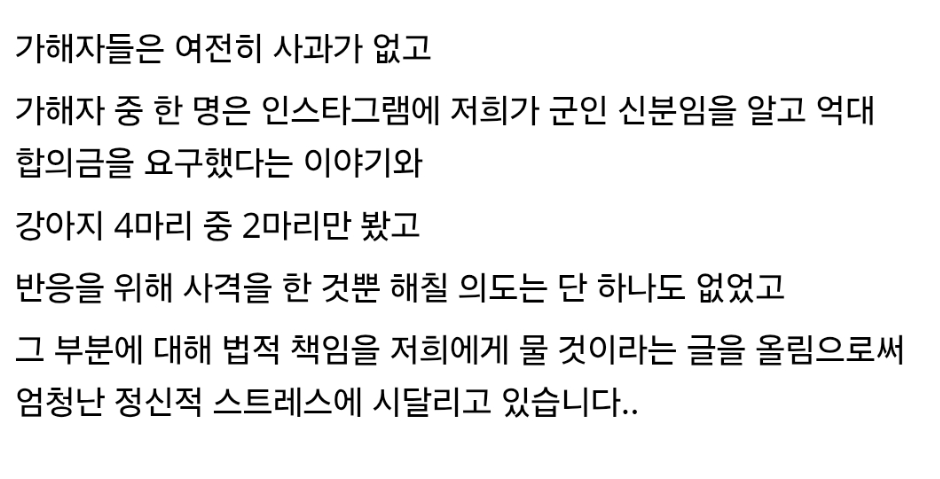 거제도 해병대 비비탄 난사 피해 견주의 호소