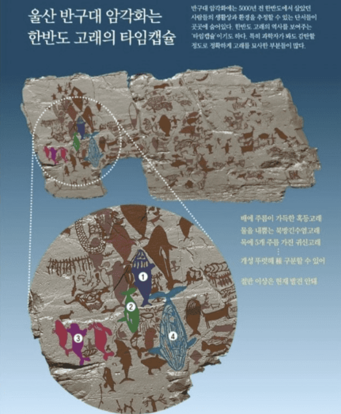 한국인들만 산후조리로 미역국을 먹는 이유