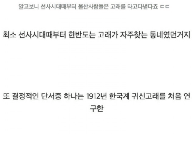 한국인들만 산후조리로 미역국을 먹는 이유