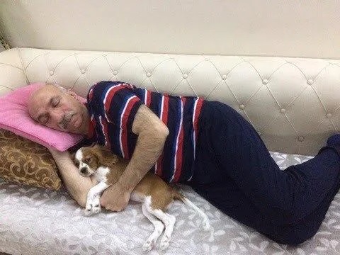 강아지 입양을 반대했던 아빠의 최후