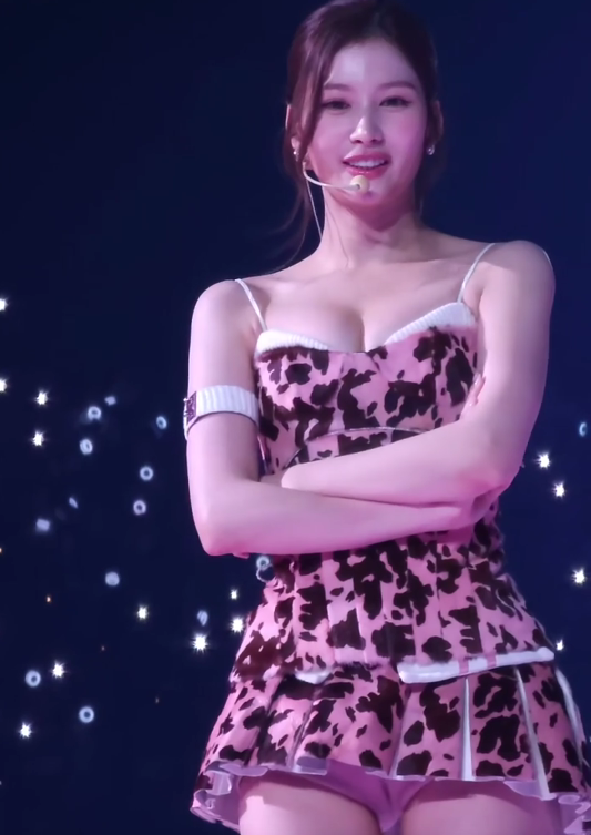팬들이 차마 똑바로 쳐다보지 못했다는 사나 직캠(영상)